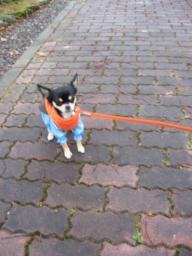 気温5℃だよ～寒いから歩かない・・・