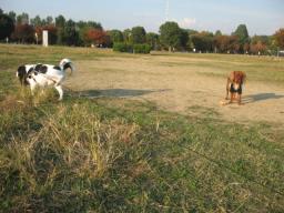 今日はまったり～デ-ト♪