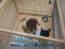 どこ行ってたんよ（クンクン）