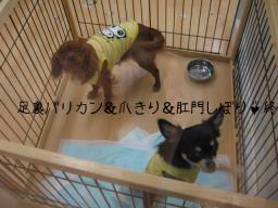 早く早く・・おかんっ