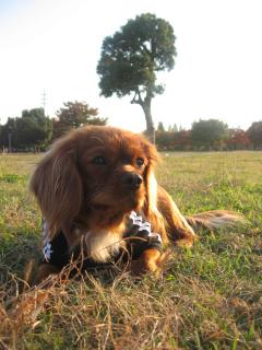 まったりな～そら