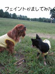 走るのしんど（でへっ）