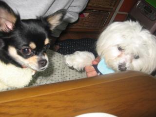 かいくん♪お久しぶり～元気してた？