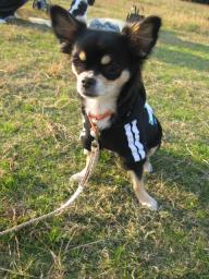 ねぇねぇのデート♪見守ってるの