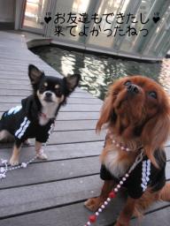 ♪今日は楽しかったねっ♪