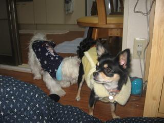 めっちゃ元気してたよ