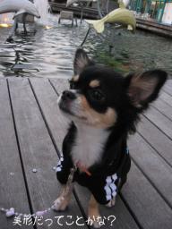 今日は男のこに間違われた（笑）