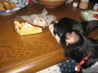 いいにおいする～クンクン