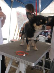 ぷるっぷるっ～