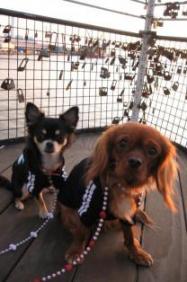 タイタニック♪パ－ト2　（古っ）