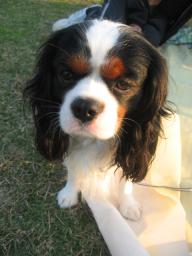 今日はありがとう♪フィズくん♪またデートしてね♪