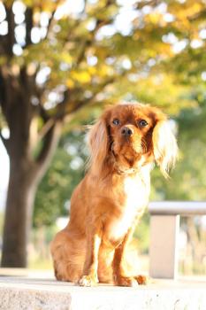 モデル風そら♪