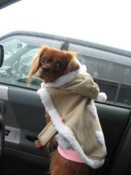 今から境港に行くんだって～