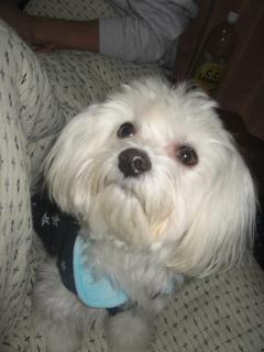 僕1歳になったんだ～♪