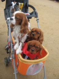 あいのり♪♪落ち着きすぎな♪そら