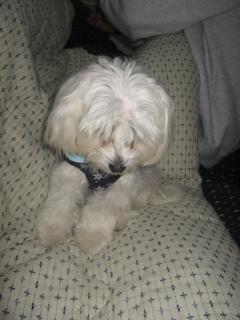 ありがとう♪ペコリ