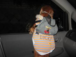 あっ！ここ知ってる♪キュンキュン