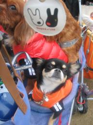 クッキ-は　フィズくん号にあいのり♪