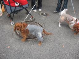 まろくんにクンクンされてる♪そら