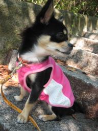 ♪どこみてるのかな？