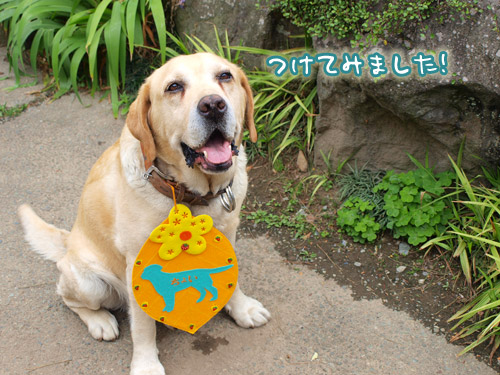 たぶん･･ちがうかな.jpg