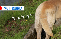 banner.jpg