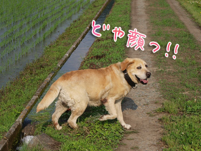 この顔！.jpg