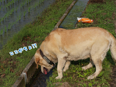そこだよ.jpg