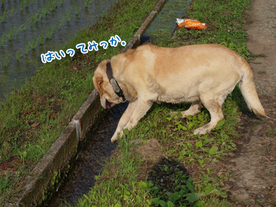 水とちょい１.jpg