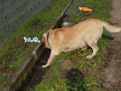 水とちょい２.jpg