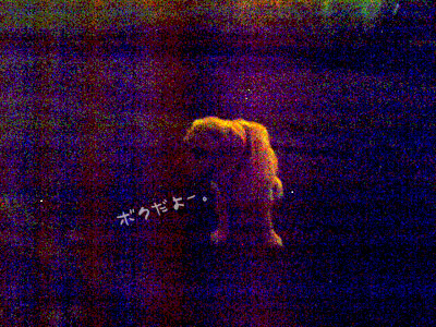 きひひ。.jpg