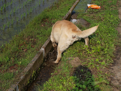 水とちょい４.jpg