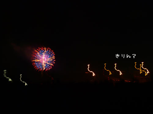 きりんが出たぞー.jpg