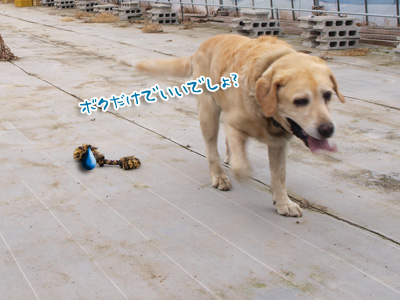 おいてけぼり.jpg