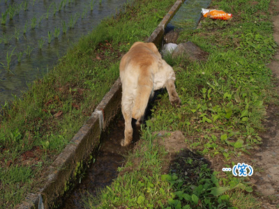 水とちょい５.jpg