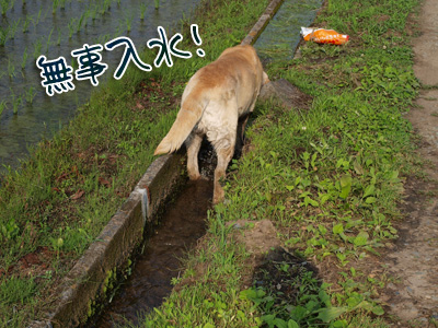 水とちょい７.jpg