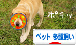 ランキング.jpg