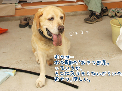 おじちゃんの願望.jpg