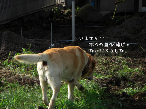 わかってるじゃん.jpg