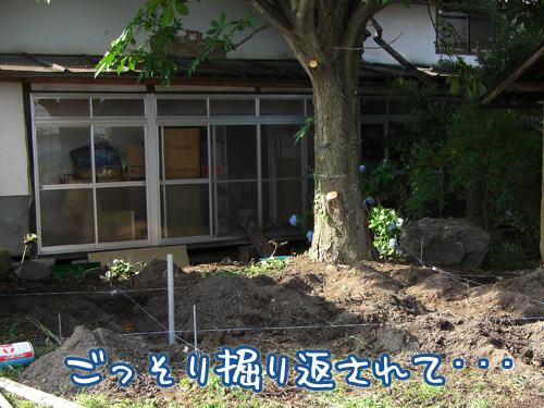 何事ですかちょ？.jpg