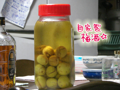背景は気にしないで･･･.jpg