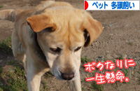 banner.jpg