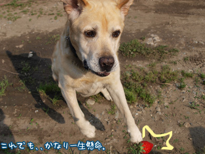 アイヤー.jpg
