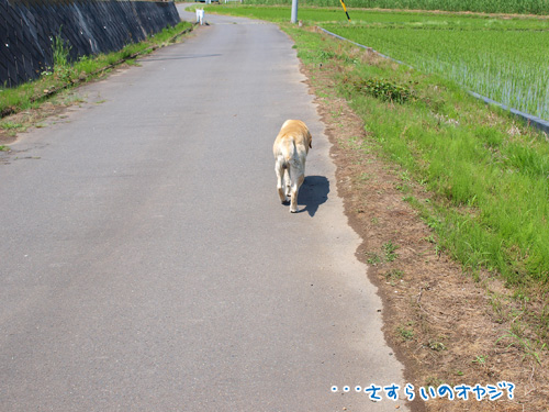 哀愁ただよいます.jpg