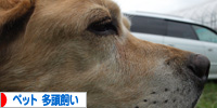 baner.jpg