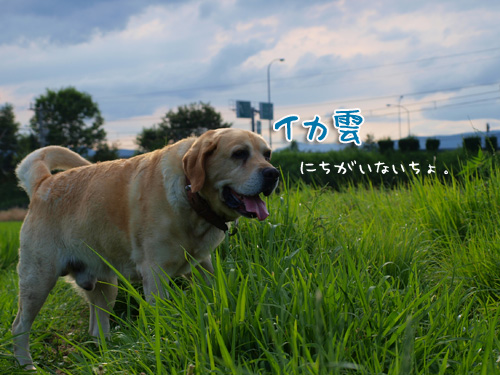 そんな雲ないって.jpg