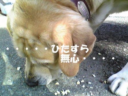 生でも関係ないちょ（２）