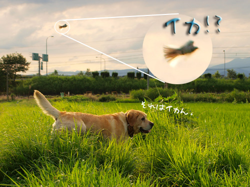 まさか･･･.jpg