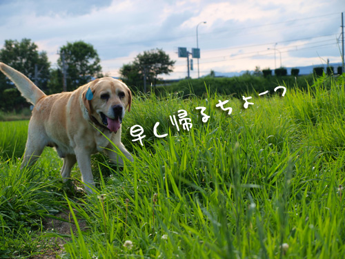 帰っていいの？.jpg