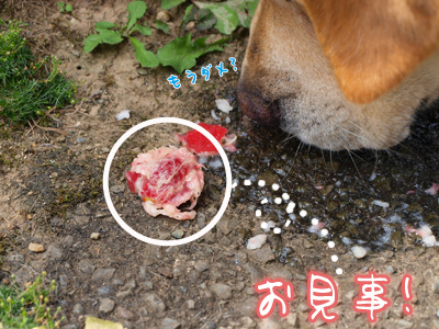 ここまで！.jpg